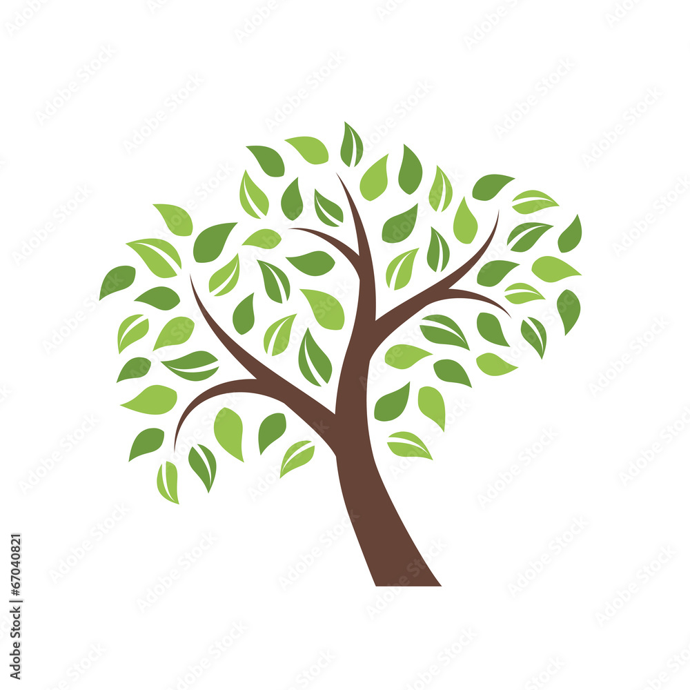 Tree isolated on white background Tree isolated on white background