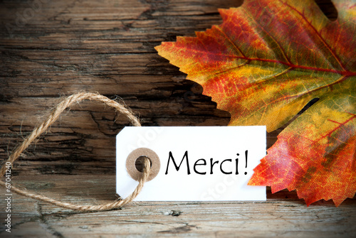 Autumn Label with Merci photo