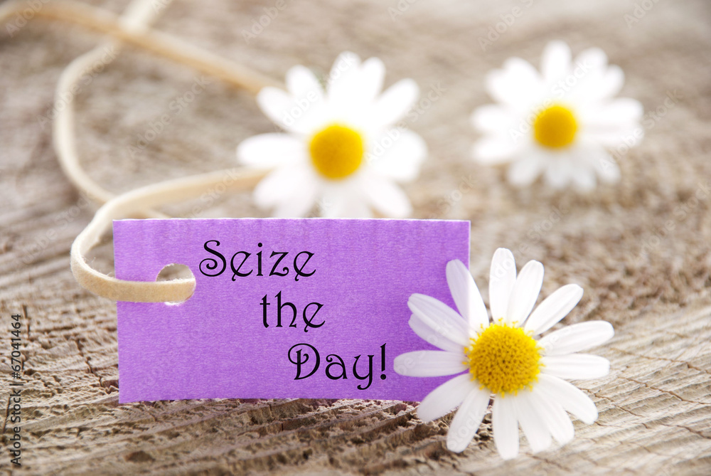 Obraz premium Label with Seize the Day