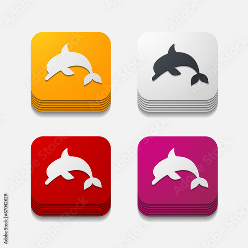 square button: dolphin