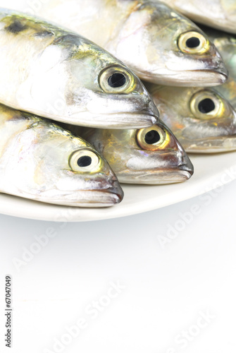 Fresh mackerel fish © teen00000