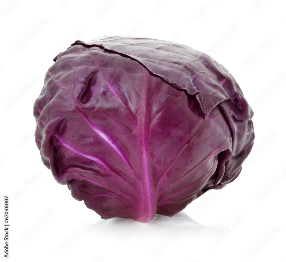Obraz premium red cabbage on a white background
