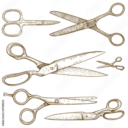 engraving illustration of scissors