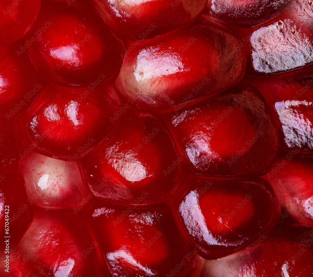 pomegranate seeds - macro