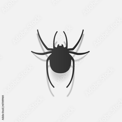 realistic design element: spider