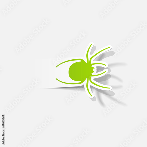 realistic design element: spider