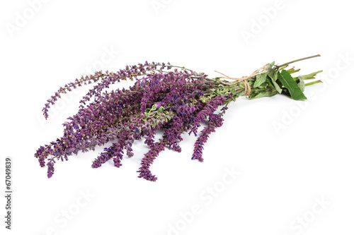 Bunch dried sage photo