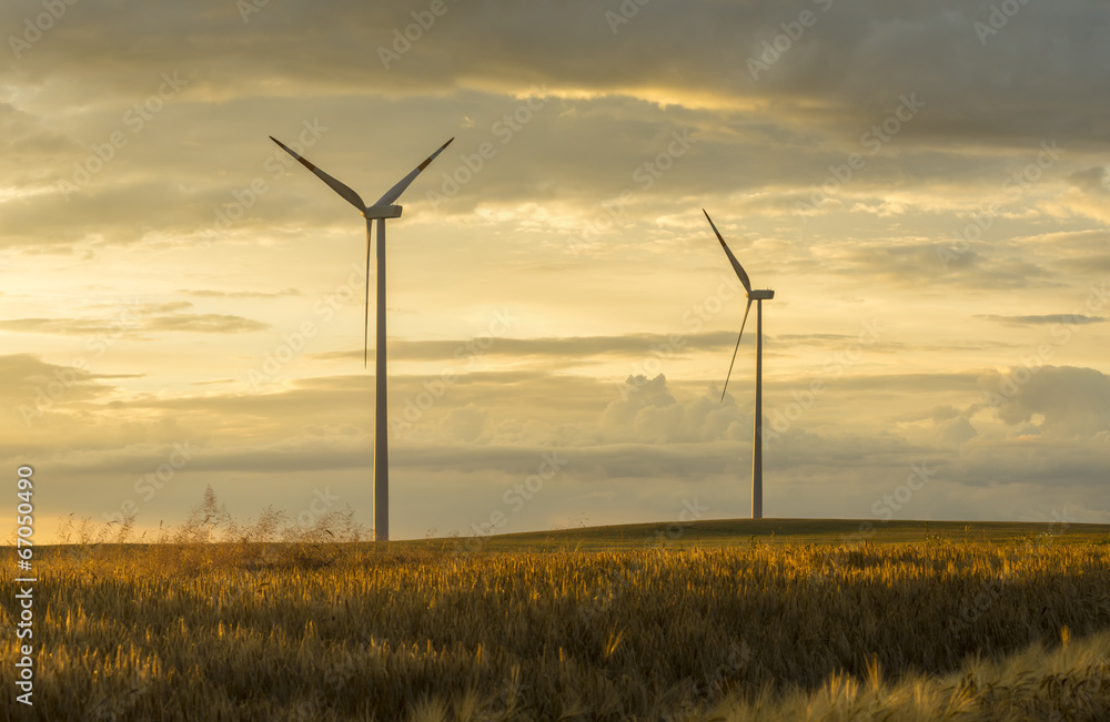 Obraz premium Wind generators turbines on sunset summer landscape