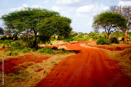 African road