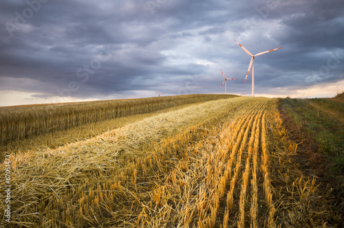 Turbiny wiatrowe na polach zboża,Niemcy photo