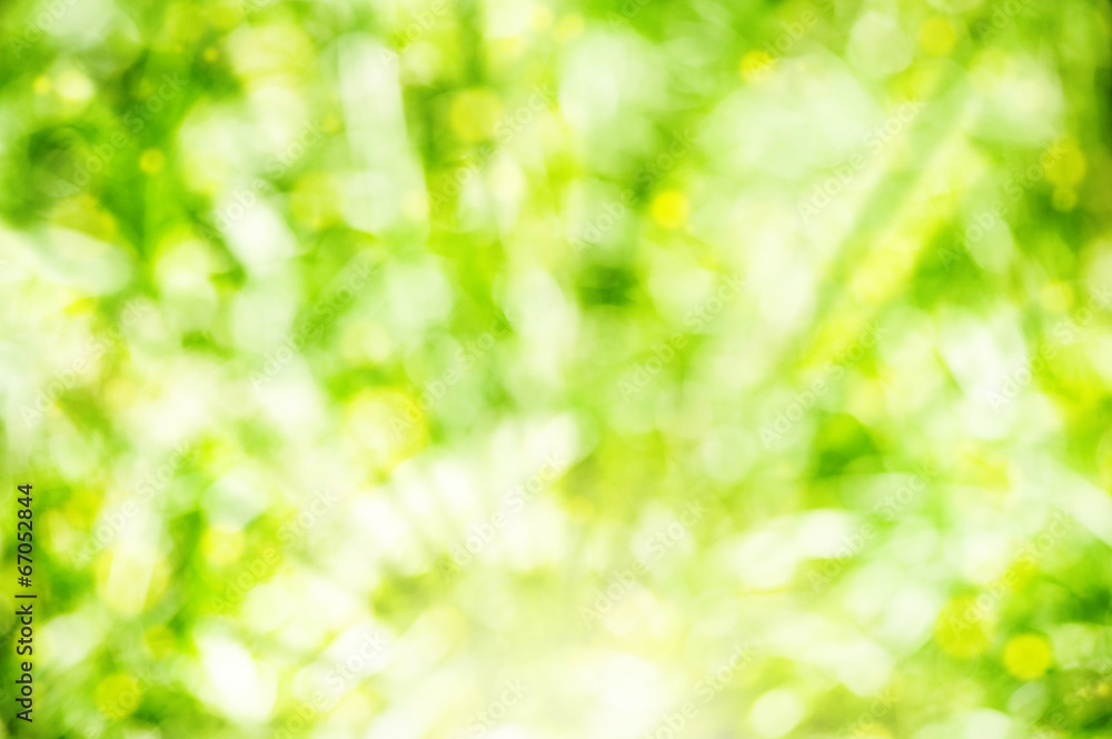 Obraz premium Abstract summer background with sunlight
