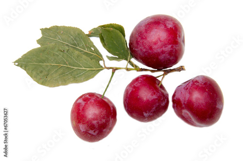 Plums