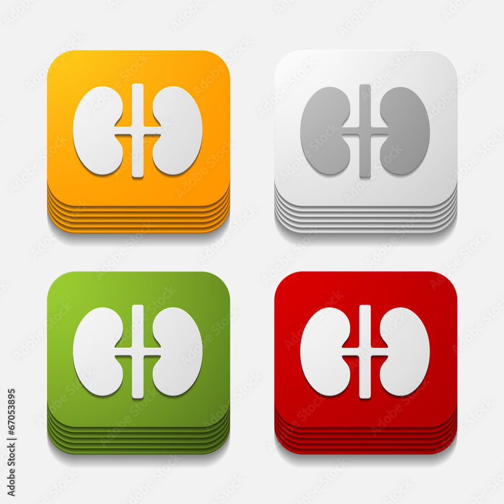 Obraz premium square button: kidneys