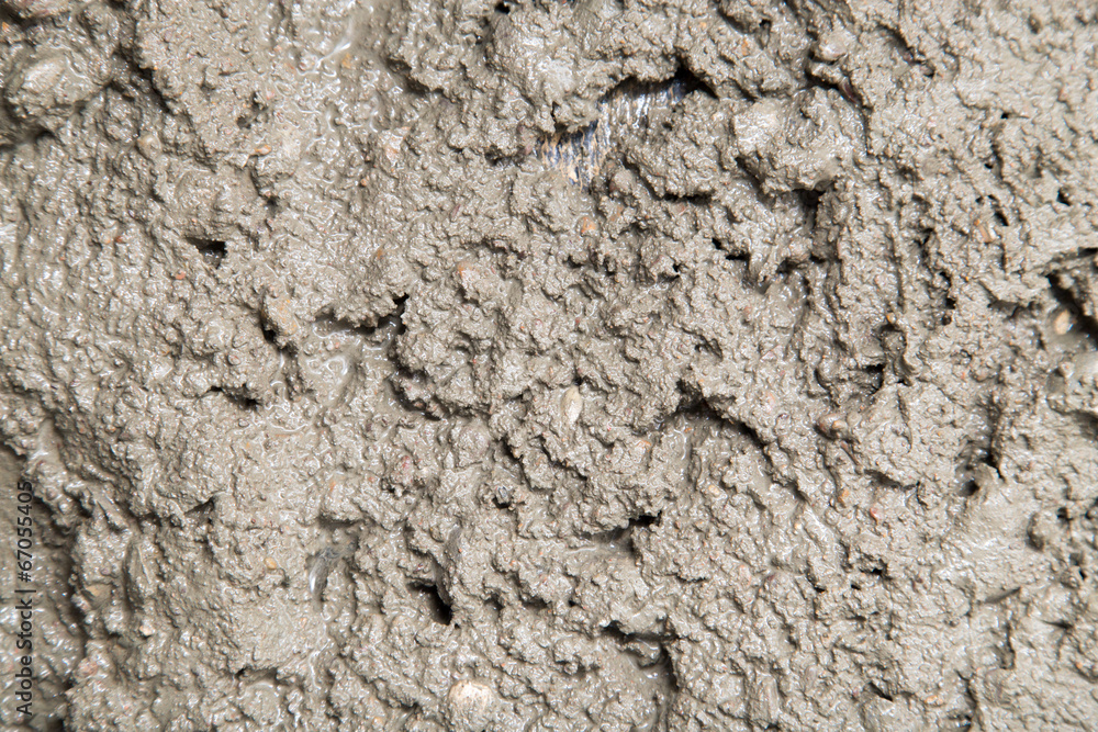 Background of the fresh cement solution Background of the fresh cement solution