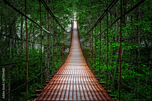 suspension bridge photo