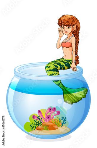 A mermaid sitting above the aquarium
