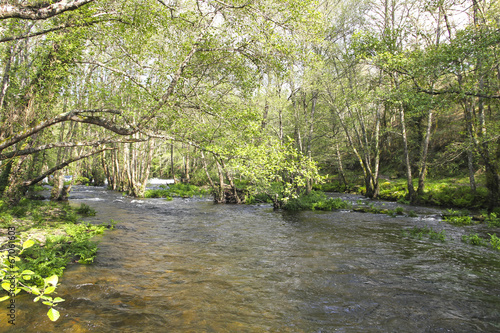 Rio Arnoia en Allariz