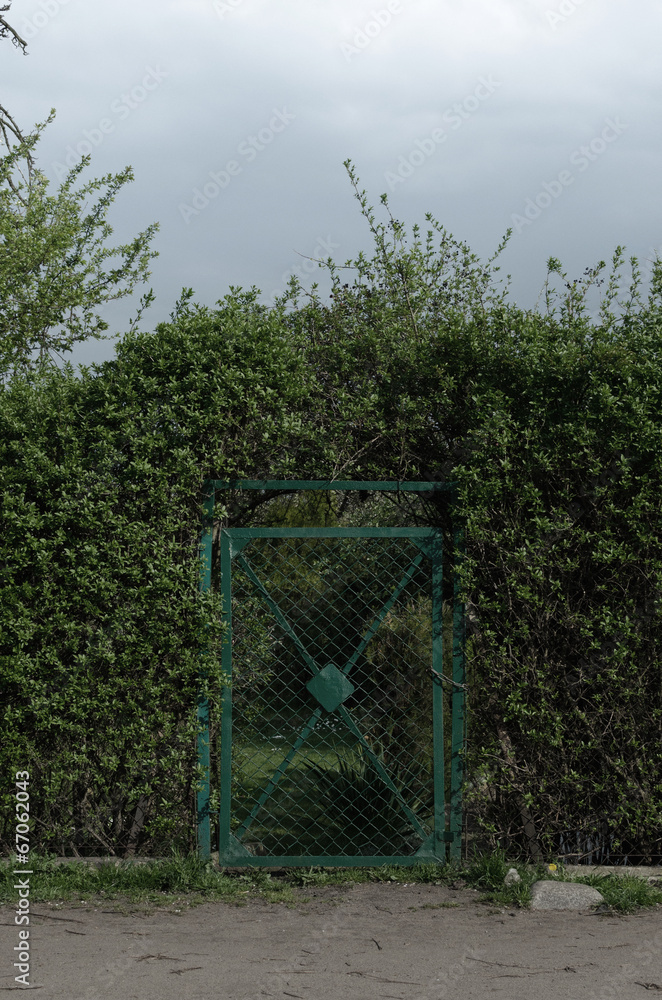 Fototapeta premium Gate to the garden