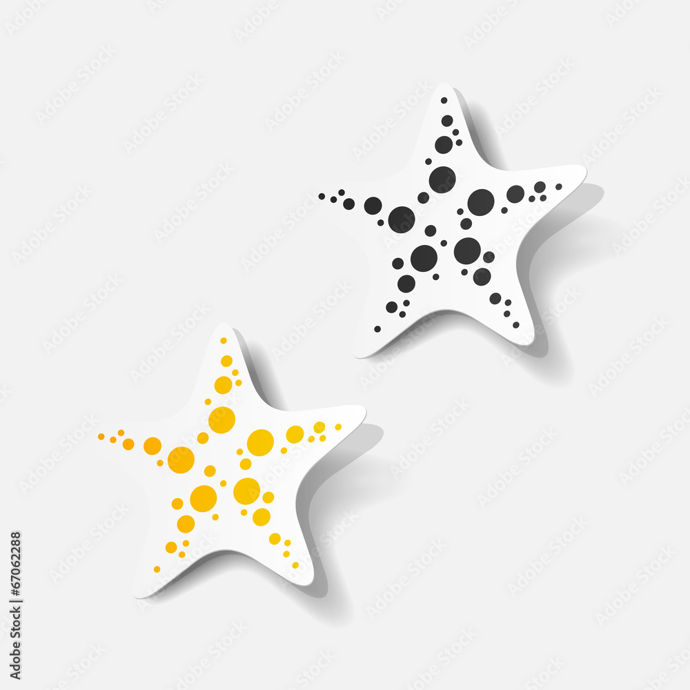 realistic design element: starfish realistic design element: starfish