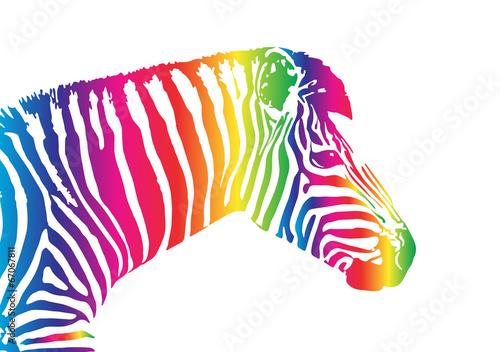 Vector image of an zebra head