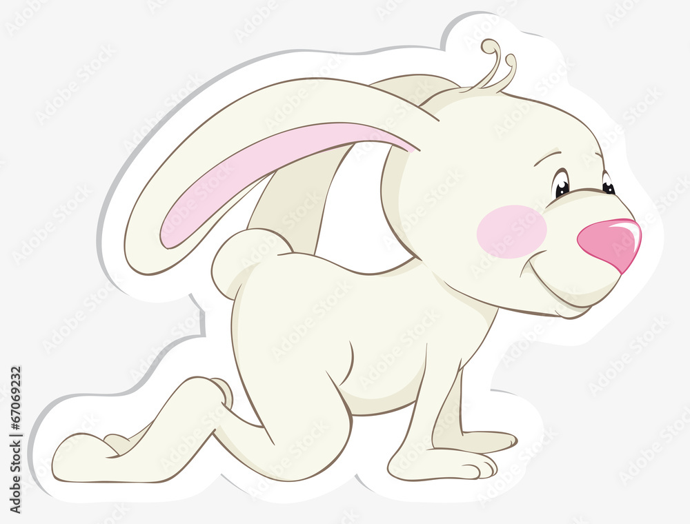 baby rabbit baby rabbit