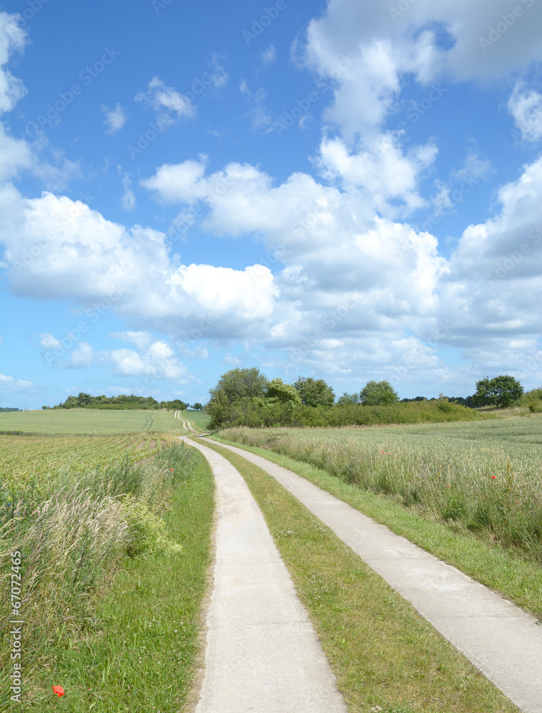 typischer Plattenweg auf der Insel Rügen