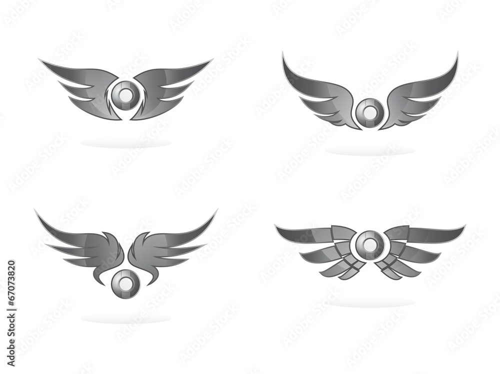 Obraz premium wing art