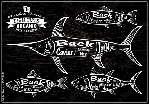 diagram cut carcasses salmon, swordfish, herring, tuna