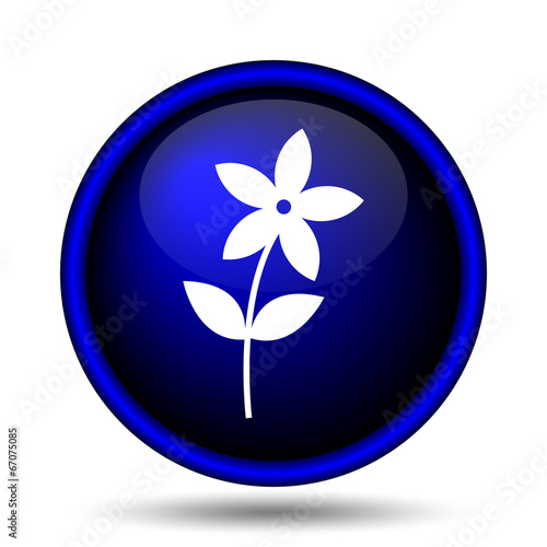 Flower icon