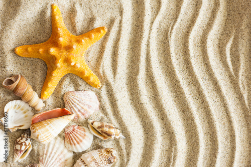 Starfish And Shells.