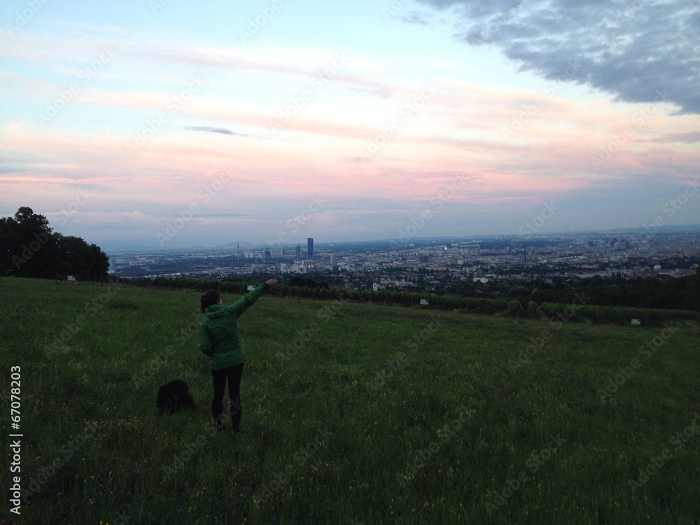 Fototapeta premium Wien Wiese mit Aussicht