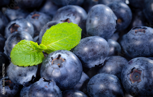 Blueberries fruit