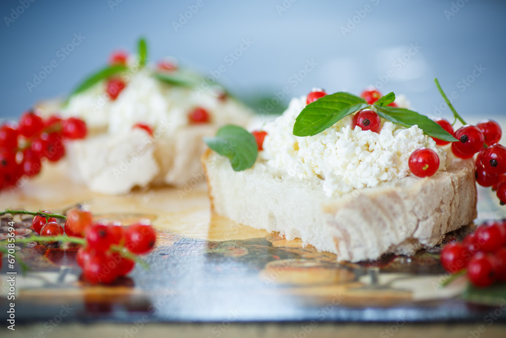 sandwich with cheese and red currants