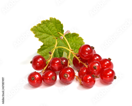 rote Johannisbeeren (Bio)