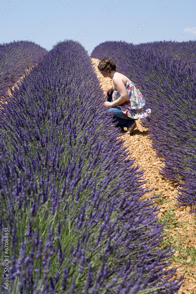 Woman sitting in floral field of lavender Woman sitting in floral field of lavender