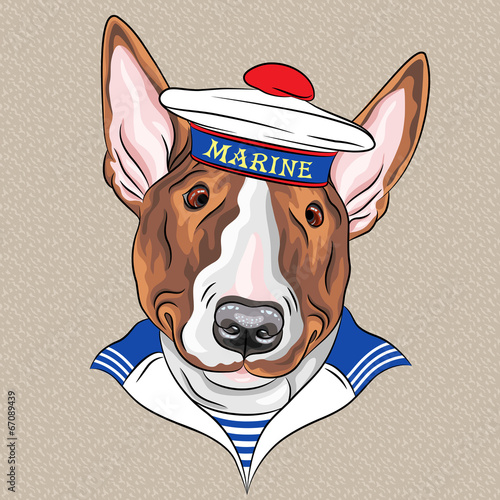 vector funny cartoon hipster dog Bullterrier sailor