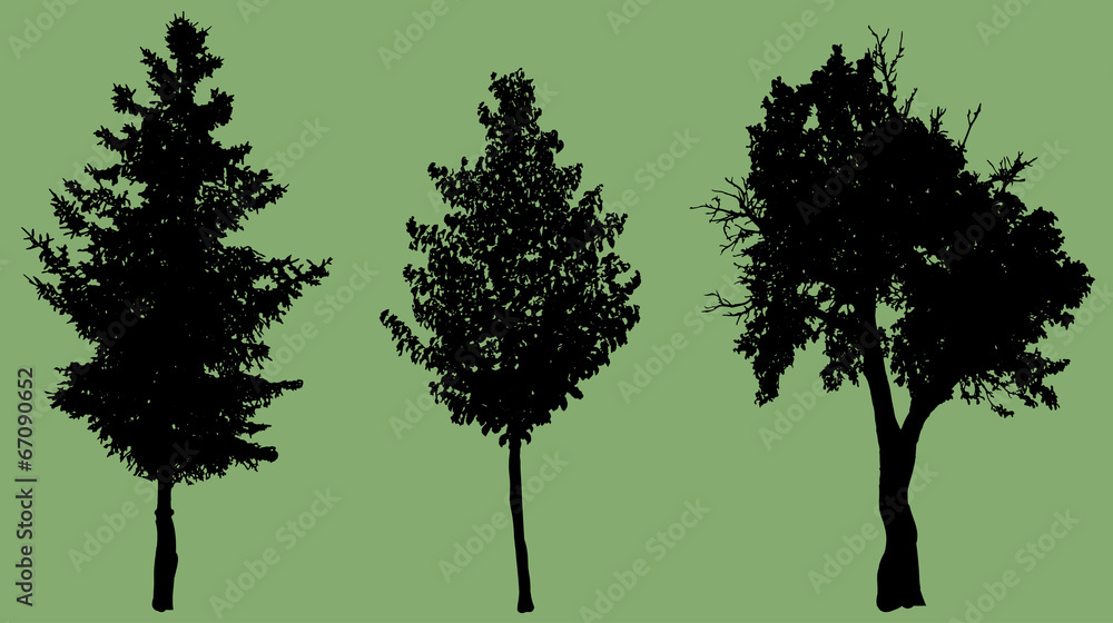 Obraz premium Vector silhouette of tree.