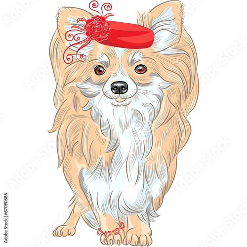 vector fashion dog Chihuahua breed smiling