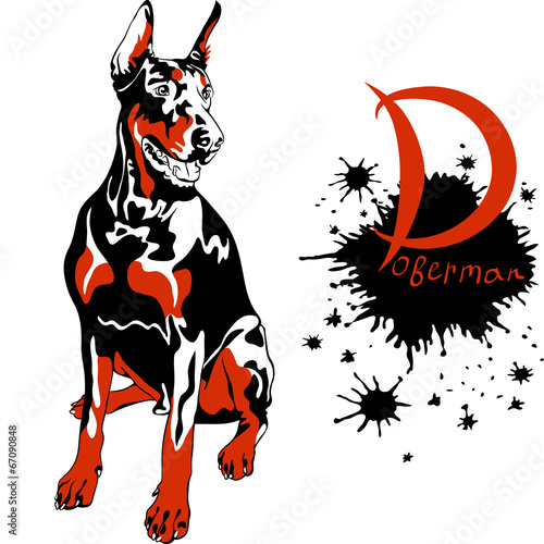 vector dog Doberman Pinscher breed
