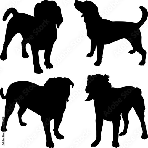 vector silhouettes of dogs in the rack