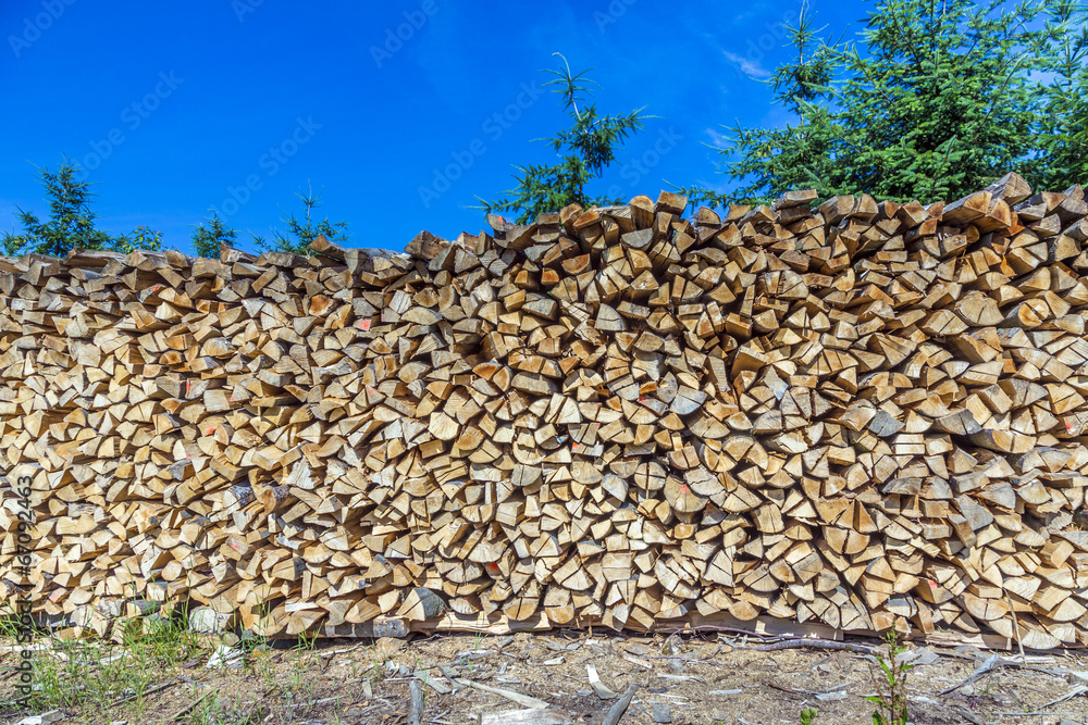 lot of wooden piles under blue clear sky