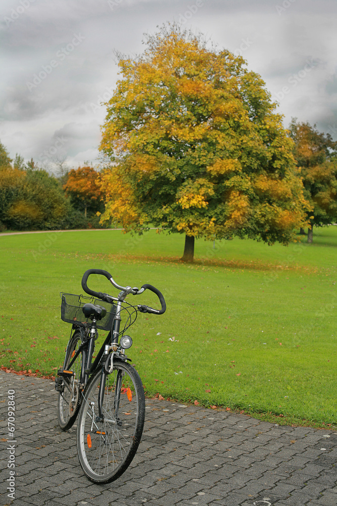 Photo  of bike in the park
