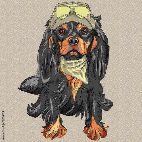 Vector Cute hipster dog Cavalier King Charles Spaniel breed