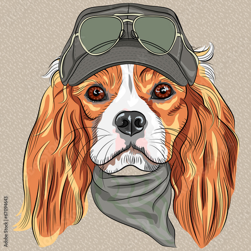 Vector Cute hipster dog Cavalier King Charles Spaniel breed