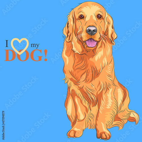 vector dog breed Golden Retriever