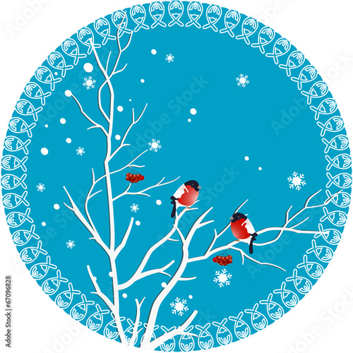 Bullfinch on a branch