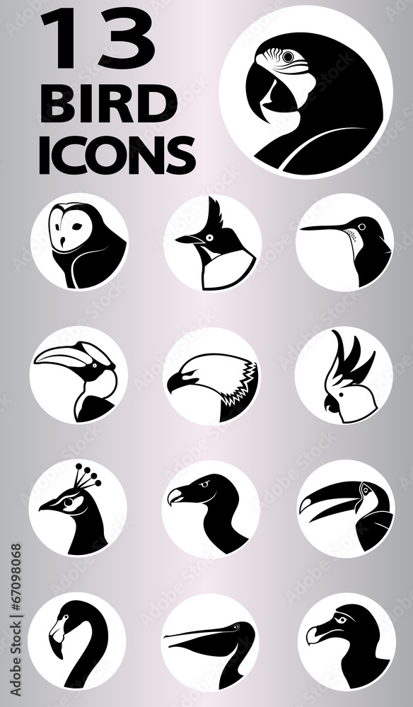 bird icons collection bird icons collection