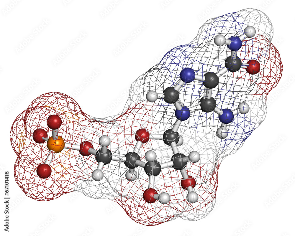 AICA ribonucleotide (AICAR) performance enhancing drug molecule.