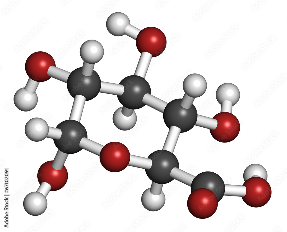 Glucuronic acid molecule. Glucuronidation of xenobiotics. Glucuronic acid molecule. Glucuronidation of xenobiotics.