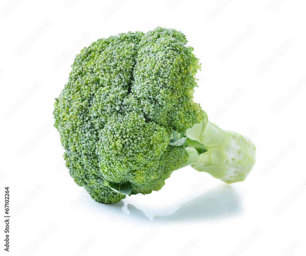 broccoli still life on a white background broccoli still life on a white background